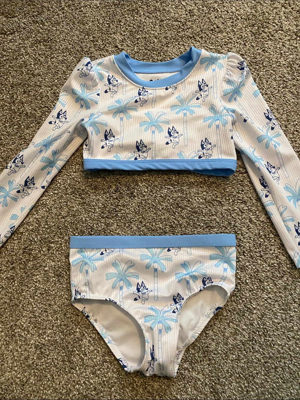 Kids  BlueyTwo-Piece Long Sleeve Swim Set in Light Blue and White